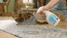 Load image into Gallery viewer, Pooph Kitty Litter Box Deodorizer, 32oz Spray - Dismantles Odors on a Molecular Basis, Cats, Freshener, Eliminator, Urine, Poop, Pee, Deodorizer, Natures, Fresh, Clean, Furniture, Potty, Safe
