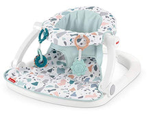 Load image into Gallery viewer, Fisher-Price Sit-Me-Up Floor Seat - Pacific Pebble, Infant Chair
