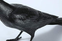 Load image into Gallery viewer, CHABEI Modern Table Light, Bird Desk Lamp, Resin Standing Bird Lighting for Living Room, Bedroom, Office, College Dorm (Black)
