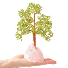 Load image into Gallery viewer, KALIFANO Premium Natural Peridot (414 Gemstone Count) Chakra Crystal Tree with Rose Quartz Base with Healing Properties - Bonsai Feng Shui Money Tree for Peace, Tranquility, and Good Luck
