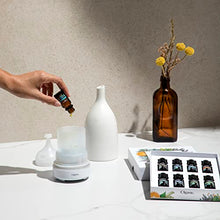 Load image into Gallery viewer, Cliganic Organic Essential Oils Set (Top 5) - 100% Pure Natural - Aromatherapy, Candle Making - Peppermint, Lavender, Eucalyptus, Lemongrass &amp; Orange
