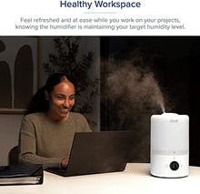 Load image into Gallery viewer, LEVOIT Humidifiers for Bedroom, Cool Mist Top Fill for Baby Nursery Kids and Plants with Essential Oils, Ultrasonic, Super Quiet, Easy Clean, BPA Free, 3L, White
