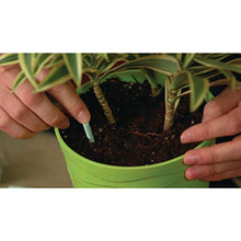 Load image into Gallery viewer, Miracle-Gro Indoor Plant Food Spikes, Includes 24 Spikes - Continuous Feeding for all Flowering and Foliage Houseplants - NPK 6-12-6

