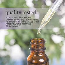 Load image into Gallery viewer, NOW Essential Oils, Rose Hip Seed Oil, 100% Pure, Nourishing and Renewing, For Facial Care, Vegan, 1-Ounce
