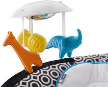 Load image into Gallery viewer, Fisher-Price Deluxe Bouncer
