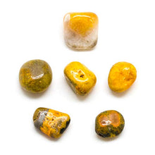 Load image into Gallery viewer, Bumble Bee Jasper Tumbled Stone Set (Medium)
