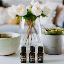 Load image into Gallery viewer, Cliganic Organic Aromatherapy Set (Top 5) with Diffuser
