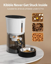 Load image into Gallery viewer, Petory Timed Automatic Cat Feeder - 4L Programable Dry Food Dispenser for Cats and Small Medium Dogs 6 Meals with Desiccant Bag Dual Power Supply 10S Voice Recorder
