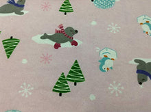 Load image into Gallery viewer, BURP CLOTHS Winter Seals Large Absorbent 100% Cotton Flannel &amp; Terrycloth Baby Girl Burp Rags
