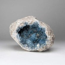 Load image into Gallery viewer, Astro Gallery of Gems Blue Celestite Cluster Geode from Sankoany, Ketsepy Mahajanga, Madagascar (18.5 lbs) - BC56
