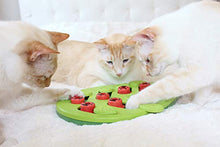 Load image into Gallery viewer, Nina Ottosson by Petstages Buggin' Out Puzzle &amp; Play - Interactive Cat Treat Puzzle
