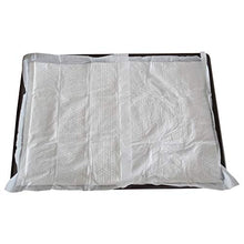 Load image into Gallery viewer, Pet Time Grand Dog Toilet Pet Dog Cat mesh Potty Large Big Huge Protect Floor Litter Training pad Holder 40" X 28" AMT-1100
