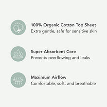 Load image into Gallery viewer, Rael Period Essential Value Set - Organic Cotton Cover Regular &amp; Overnight Pads, Regular Liners and pH Balanced Feminine Wipes
