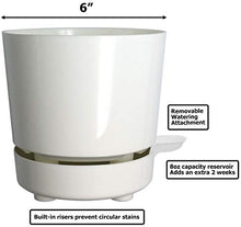Load image into Gallery viewer, 6" Self Watering + Self Aerating High Drainage Deep Reservoir Round Planter Pot Maintains Healthy Roots for Indoor &amp; Outdoor &amp; Windowsill Gardens (White)
