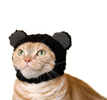 Load image into Gallery viewer, Kitan Club Cat Cap - Pet Hat Blind Box Includes 1 of 6 Cute Styles - Soft, Comfortable - Authentic Japanese Kawaii Design - Animal-Safe Materials, Premium Quality (Bear)
