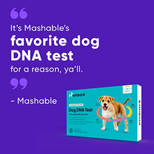 Load image into Gallery viewer, Embark | Dog DNA Test | Breed &amp; Health Kit | Breed Identification &amp; Canine Genetic Health Screening
