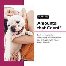 Load image into Gallery viewer, Nutri-Vet Pre and Probiotic Soft Chews for Dogs | Digestive Health Support Dog Probiotics | Tasty Alternative to Dog Probiotic Powder | 120 Soft Chews
