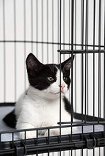 Load image into Gallery viewer, Prevue Pet Products Replacement Platform Shelf for 7500 &amp; 7501 cat Cages

