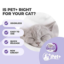 Load image into Gallery viewer, PETPLUS Cat Calming Collar for Cats | Purrfect to Reduce Your Pet’s Anxiety or Aggression | Pheromones for Cats &amp; Cat Anxiety Relief | Cat Calming Products for Kittens | 2-Month Protection, 1 Collar
