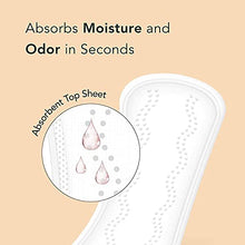 Load image into Gallery viewer, Rael Period Bundle - BPA-Free Plastic Applicator Tampon (Regular &amp; Super, 32 Count) &amp; Organic Cotton Cover Regular Liners (40 Count)
