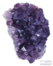 Load image into Gallery viewer, Mimosa Natural Amethyst Cluster Petite Purple Crystals are Indeed to Grow Your Crystal Collection.Plus a Bonus Mineral and Chakra Stone Set Included as a Thank You. (7oz~13oz)
