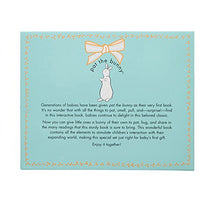 Load image into Gallery viewer, Pat the Bunny Book &amp; Plush (Touch-and-Feel)
