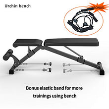 Load image into Gallery viewer, Urchin Adjustable Strength Training Bench for Full Body Multi-Functional Workout Exercise Dumbbell Bench Press Work Out GYM Weight Entryway Bench
