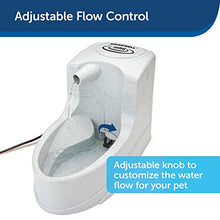 Load image into Gallery viewer, PetSafe Drinkwell Mini Pet Fountain for Cats and Small Dogs – Filtered Water – Filter Included, PWW00-14402
