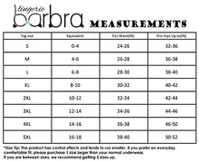 Load image into Gallery viewer, Barbra's 5 Pack Women's Light Control Full Coverage Lace Briefs Panties (2XL)
