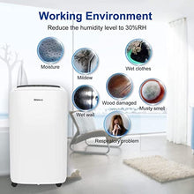Load image into Gallery viewer, Shinco 2,000 Sq.Ft Dehumidifier for Basements, Home, Office, Bedroom, Bathroom, Laundry room and Garage. Auto or Manual Drain, Quietly Remove Moisture &amp; Control Humidity
