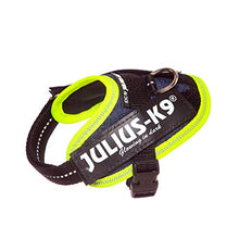 Load image into Gallery viewer, Julius-K9 16IDC-FARNE-B1 IDC Powerharness, Dog Harness, Size Baby 1, Jeans with Neon Edge
