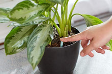 Load image into Gallery viewer, Miracle-Gro Indoor Plant Food Spikes, Includes 24 Spikes - Continuous Feeding for all Flowering and Foliage Houseplants - NPK 6-12-6
