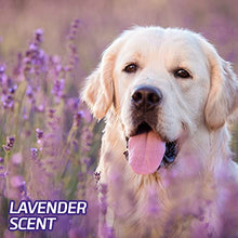 Load image into Gallery viewer, Hartz Home Protection Odor Eliminating Scented Dog Pads, Super Absorbent &amp; Won’t Leak, Lavender Scent, 3XL Size Pads, 60 Count
