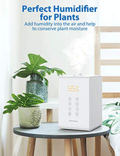 Load image into Gallery viewer, Elechomes Warm and Cool Mist Humidifiers, SH8820 Top Fill 5.5L Humidifier for Large Room Bedroom Plants with Remote Control, 20db Ultra Quiet, LED Display, 600ml/h Max Humidity, Auto Shut-off, White
