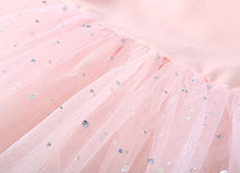 Load image into Gallery viewer, danswan Toddler Girls Long Sleeve Ballet Tutu Leotards with Glitter Skirt Dance Ballerina Outfit (2-3T, Ballet Pink)
