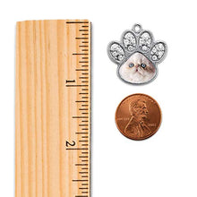 Load image into Gallery viewer, Inspired Silver - Persian Cat Charm Earrings for Women - Silver Pave Paw Charm French Hook Drop Earrings with Cubic Zirconia Jewelry
