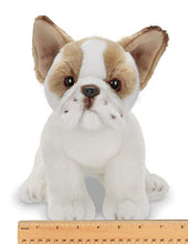 Load image into Gallery viewer, Bearington Collection Frenchie Plush Stuffed Animal French Bulldog Puppy Dog, 13 inch
