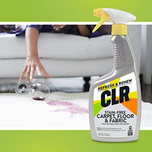 Load image into Gallery viewer, CLR Stain-Free Carpet, Floor &amp; Fabric, Fast-Acting Stain Remover, 26 Ounce
