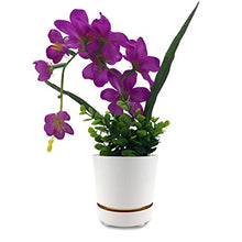Load image into Gallery viewer, 6" Self Watering + Self Aerating High Drainage Deep Reservoir Round Planter Pot Maintains Healthy Roots for Indoor &amp; Outdoor &amp; Windowsill Gardens (White)
