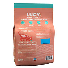 Load image into Gallery viewer, Lucy Pet Products Formulas for Life - Sensitive Stomach &amp; Skin Dry Cat Food, All Breeds &amp; Life Stages - Salmon, Pumpkin, &amp; Quinoa, 4 LB Bag
