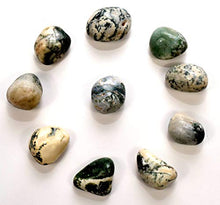 Load image into Gallery viewer, White &amp; Green Chalcedony Agate Gemstone Pebbles Polished Natural Multicolor Crystal Mineral Tumbled Stone Cabochon Specimen Cabs - India (5PCS)
