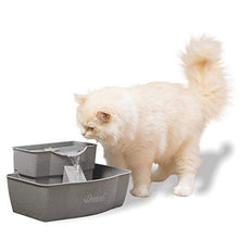 Load image into Gallery viewer, PetSafe Drinkwell Multi-Tier Cat and Dog Water Fountain - Automatic Drinking Fountain for Pets - 100 Oz. Water Capacity (PWW00-13708), Grey
