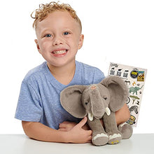 Load image into Gallery viewer, National Geographic Kids 3-Pack Hyper-Realistic Super Soft Stuffed Animal, QR Code to Elephant, Cheetah, Zebra Facts, Recycled Material Packaging, Amazon Exclusive, by Just Play
