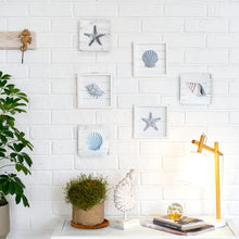 Load image into Gallery viewer, Seashell Wall Decor sets - Rustic Pastels and Coastal Blue
