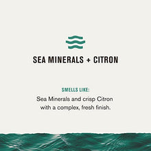 Load image into Gallery viewer, Every Man Jack Sea Minerals + Citron Mens 3-in-1 All Over Wash for All Skin and Hair Types - Notes of Sea Mineral, Bergamot, Citrus - Cleanse, Nourish, and Protect Your Skin and Hair with Naturally Derived Soy Proteins, Aloe, Glycerin - 2 Bottles

