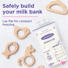 Load image into Gallery viewer, Lansinoh Breastmilk Storage Bags, 200 Count
