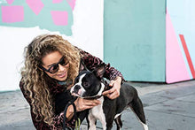 Load image into Gallery viewer, Bose Frames - Audio Sunglasses with Open Ear Headphones, Rondo, Black - with Bluetooth Connectivity,Regular
