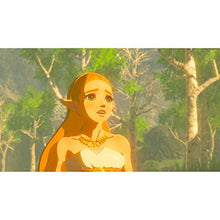 Load image into Gallery viewer, The Legend of Zelda: Breath of the Wild - Nintendo Switch

