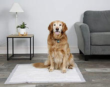 Load image into Gallery viewer, Hartz Home Protection Odor Eliminating Scented Dog Pads, Super Absorbent &amp; Won’t Leak, Lavender Scent, 3XL Size Pads, 60 Count
