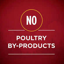 Load image into Gallery viewer, Purina ONE Grain Free, Natural Pate Wet Dog Food, SmartBlend True Instinct With Real Turkey &amp; Venison - (12) 13 oz. Cans
